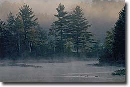 [Misty Lake Photo]